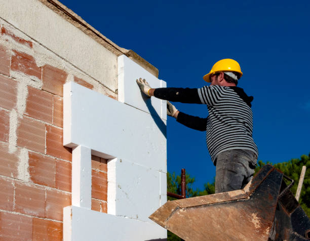 Best Spray Foam Insulation  in Louise, TX