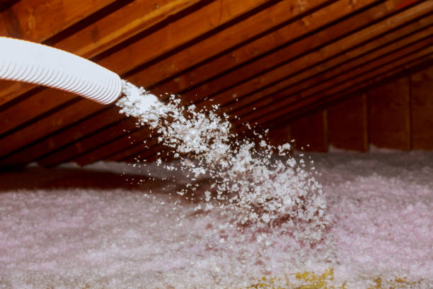 Best Blown-in Insulation  in Louise, TX
