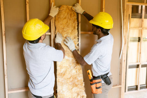 Louise, TX Insulation Contractor Company