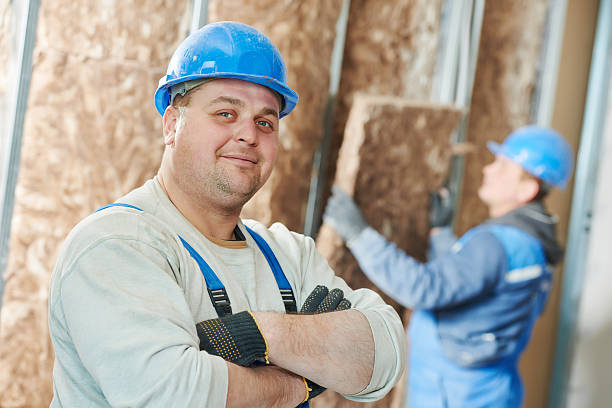 Best Attic Insulation Installation  in Louise, TX